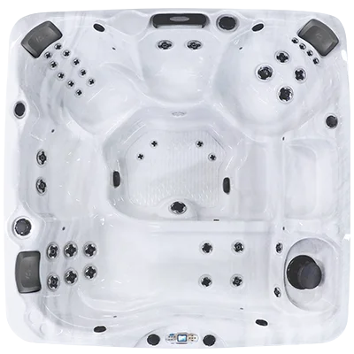 Avalon EC-840L hot tubs for sale in Manahawkin