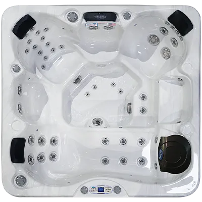 Avalon EC-849L hot tubs for sale in Manahawkin