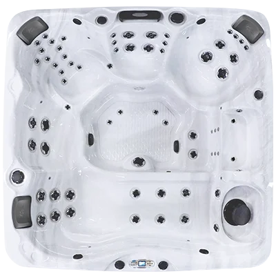 Avalon EC-867L hot tubs for sale in Manahawkin