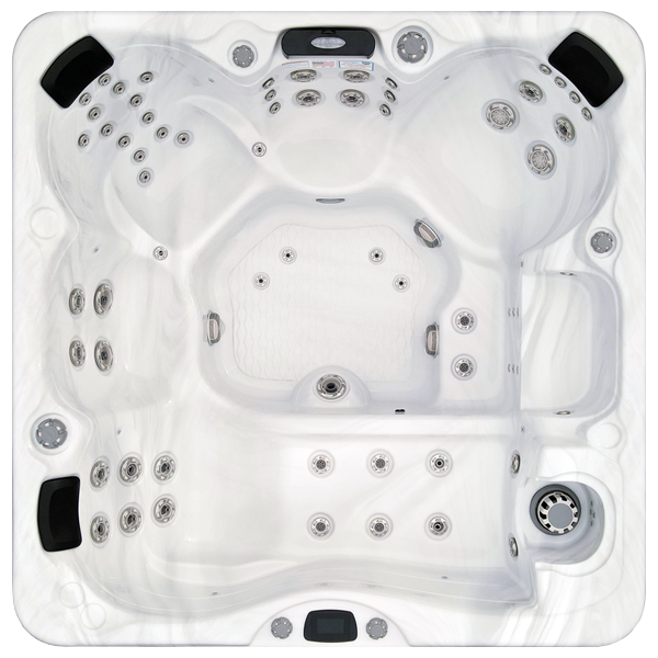 Avalon-X EC-867LX hot tubs for sale in Manahawkin